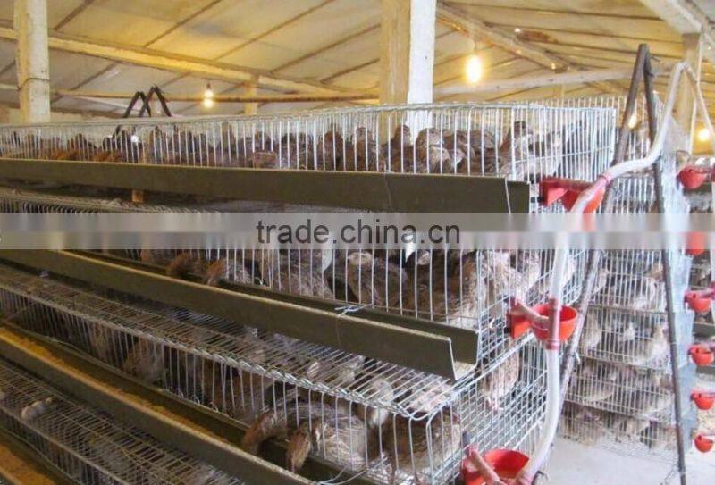 6 tires 400 automatic quails cage one side/6 tiers two sides 800 quails cages