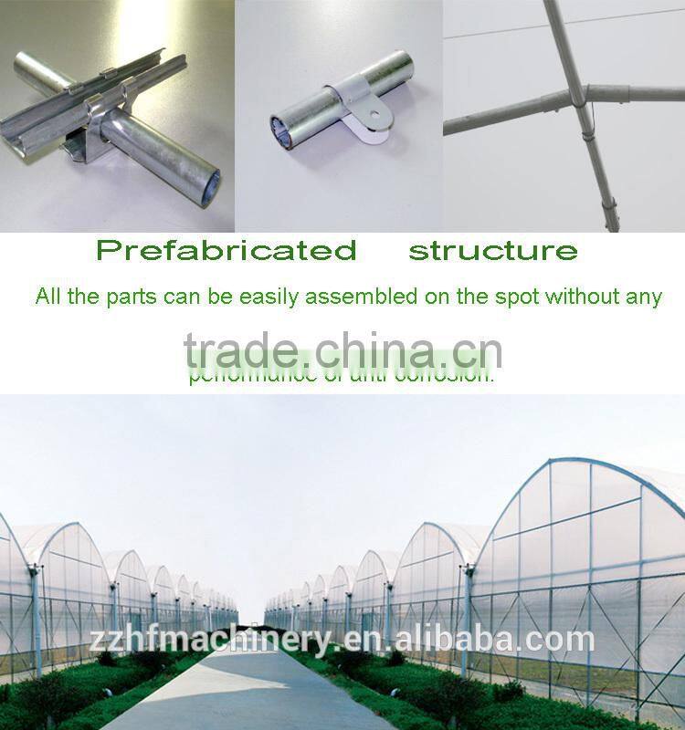 Lowest Price Greenhouse Growing Vegetable