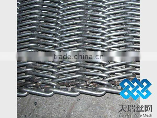 TIANRUI Conveyor Belt wire Mesh with super quality