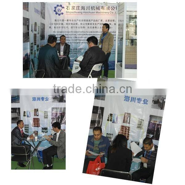 Paper Pulp Molding Molds