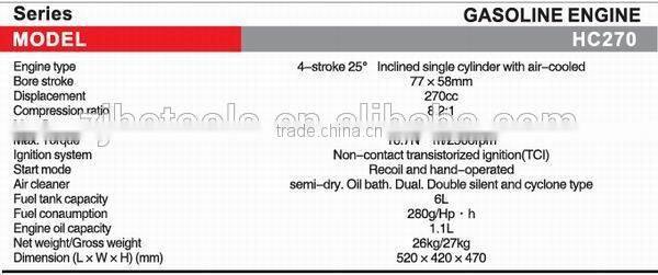 single cylider 4-stroke engine 300cc