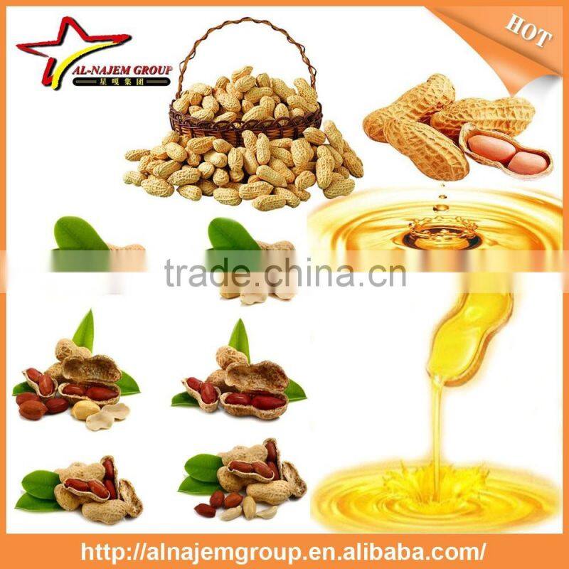 Best sale peanut oil press machine peanut oil machine peanut oil filling machine