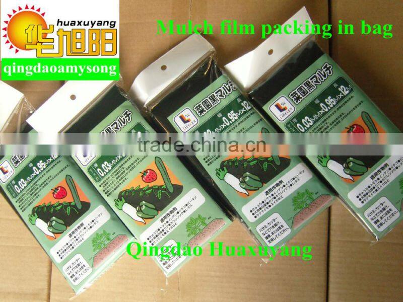Qingdao huaxuyang supply 3 layers Blow molding perforated agricultural polyethylene sheet