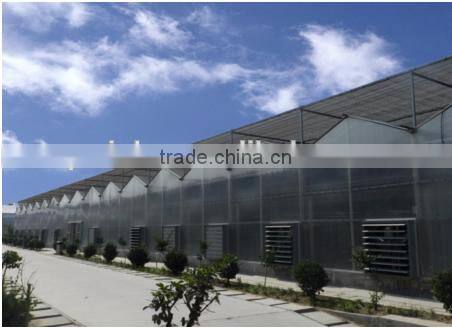 PE film greenhouse for sale