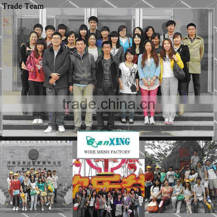 fiberglass window screen / fiberglass window screen mesh / fiberglass insect screen mesh