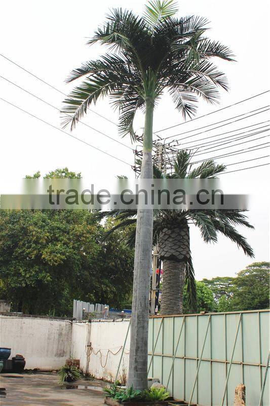 Home garden decoration 100cm to 1000cm Height artificial indoor live plastic ficus red with green big pine tree EZLS05 1013