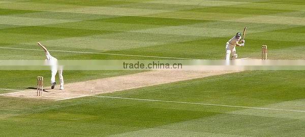 Best selling new products 2017 low price custom logo natural wood tennis ball cricket bat wholesale made in china