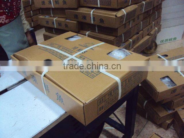 frozen Sardines whole round,80pcs for 10kgs per carton