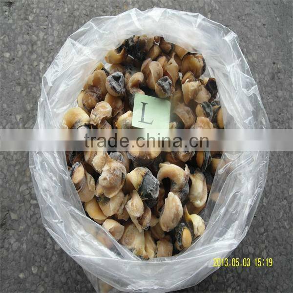 sea best frozen seafood conch