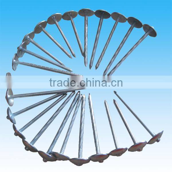 Galvanized Umbrella Head Roofing Nails In Guangzhou factory