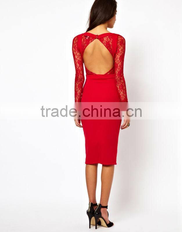 Body-Conscious Dress With Lace Inserts