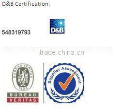 Golden Brush Custom Logo Makeup Cosmetics Brush Set 11 Pieces