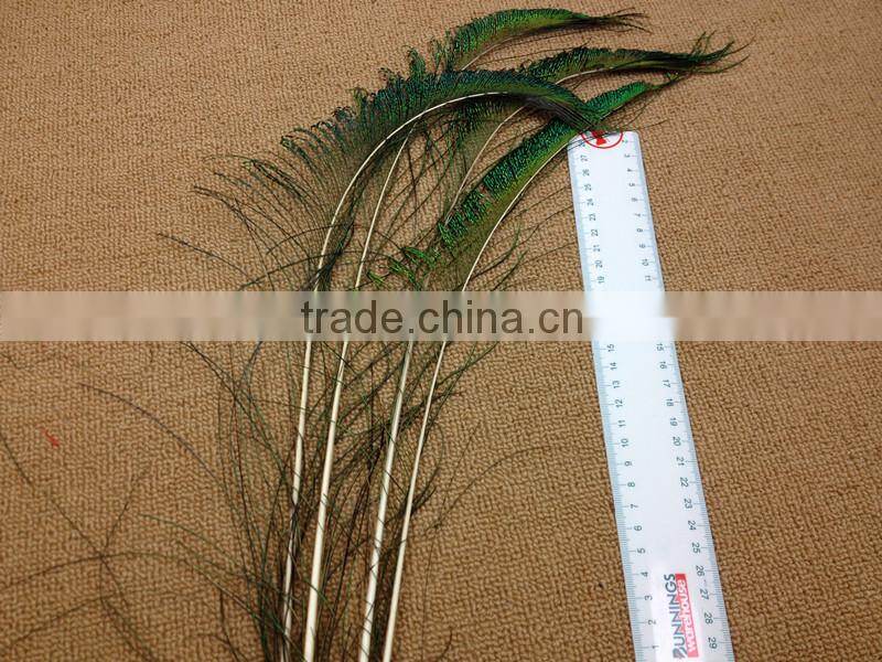 12-13"/30-35cm length Peacock Sword Feather Natural Green For Hats/Costume/Crafts