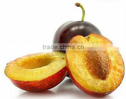 New design Stoning Equipment manufactured in Wuxi Kaae