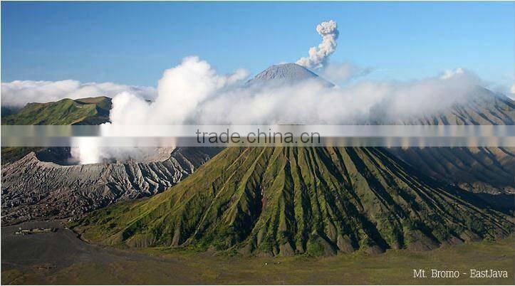 Natural Mineral Water 330ml