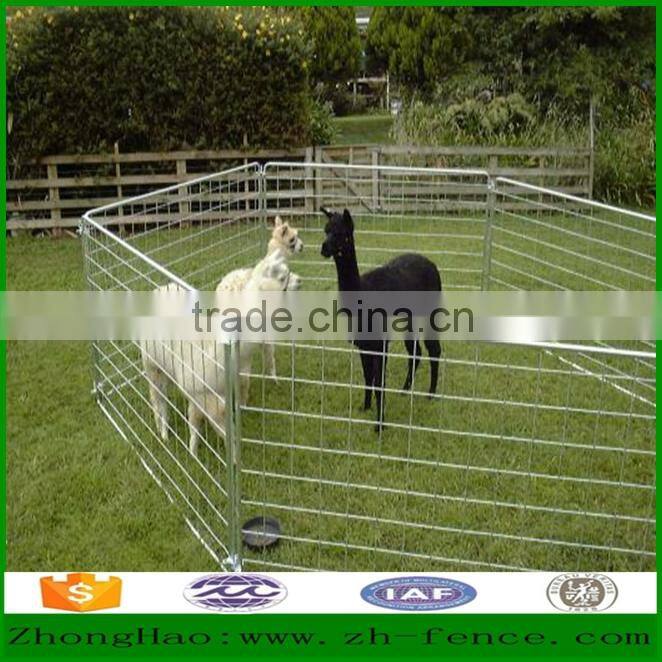 Factory direct sale hot dipped galvanized PVC coated and powder coated temporary fence