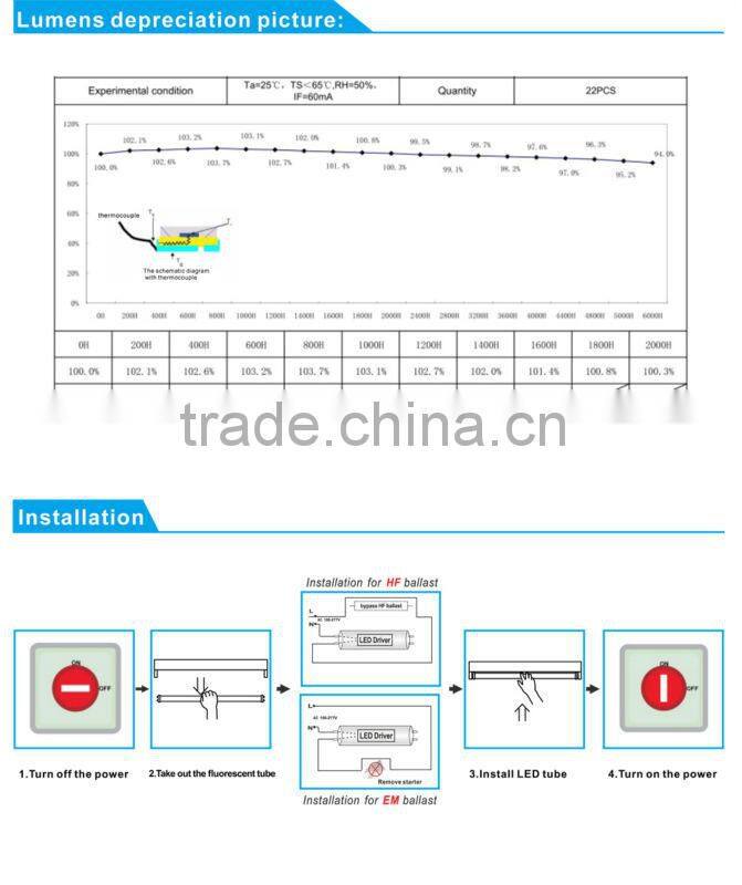 4ft 5000k Clear Cover Led 22W DLC T8 Tube
