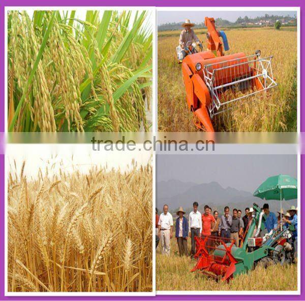 Mini Combine Harvester for Rice