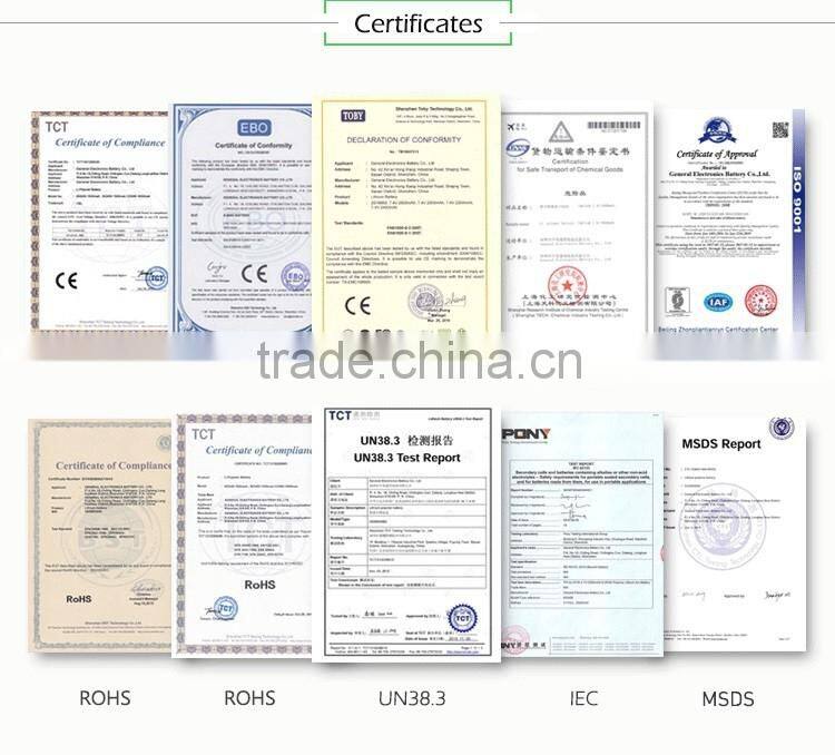 Small Lithium ion battery pack for ebike 36v 8.8ah dophine suit for 250w motor