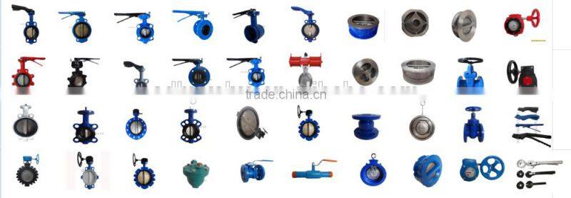 lug and wafer type butterfly valve dn200 pn10