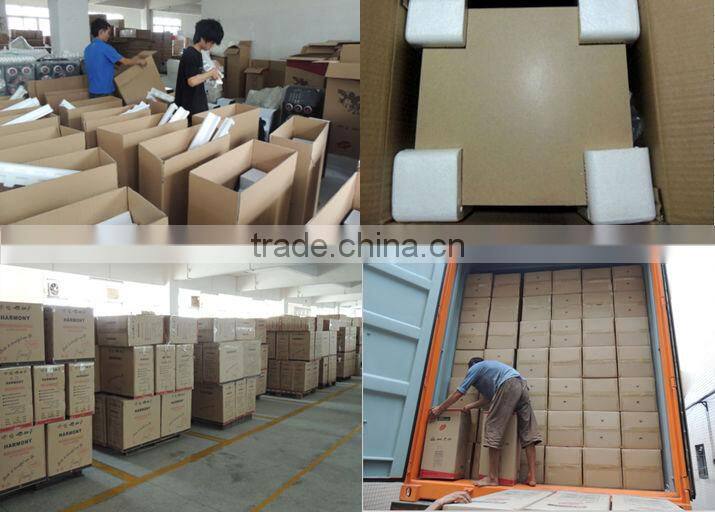 2014 most popular dual 12 inch big power speaker with dvd