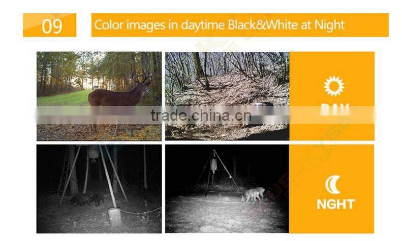 camera for hunting with great price ltl-8210a wide angle hunting camera H801W New design