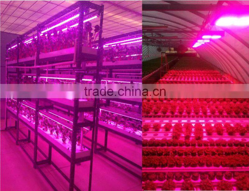 full spectrum 150w 300w grow light led lampe veg bloom switch
