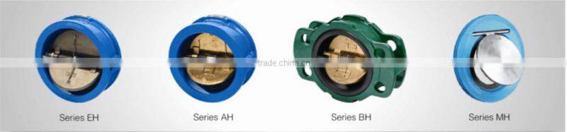 DN100 PN10/16 Ductile Iron Body and Disc Wafer Check Valve