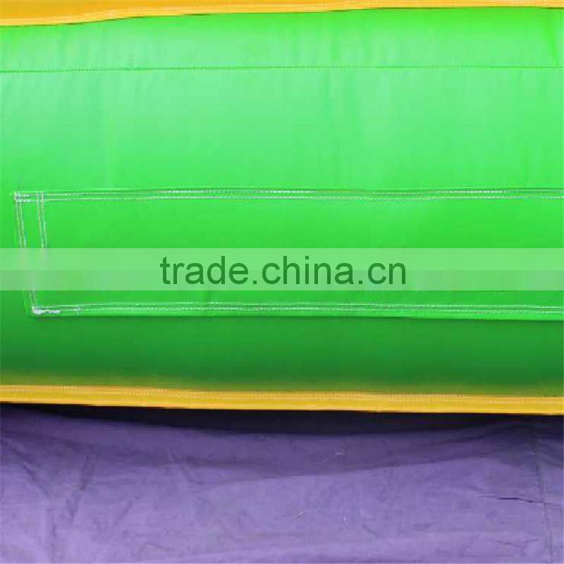 Hola giant dolphin inlfatable water slide for sale