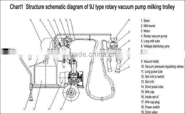 milking machine working with vacuum pump