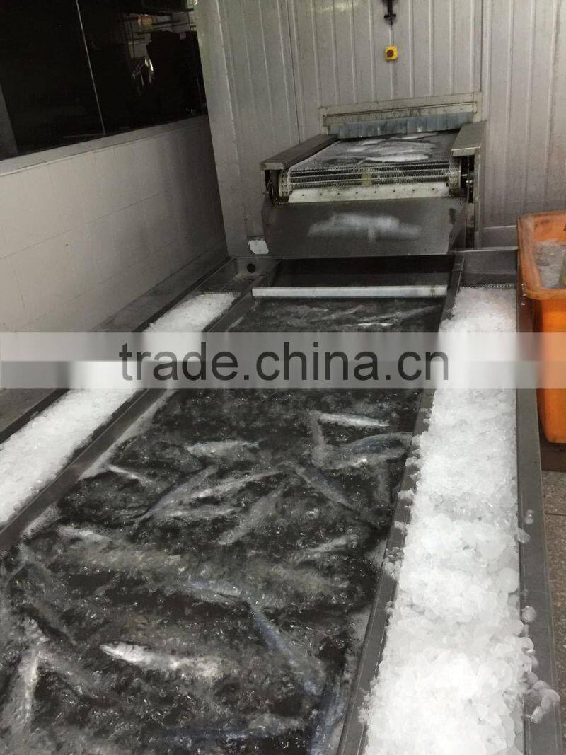 Fresh Frozen Sea Fish Spanish Mackerel For Market