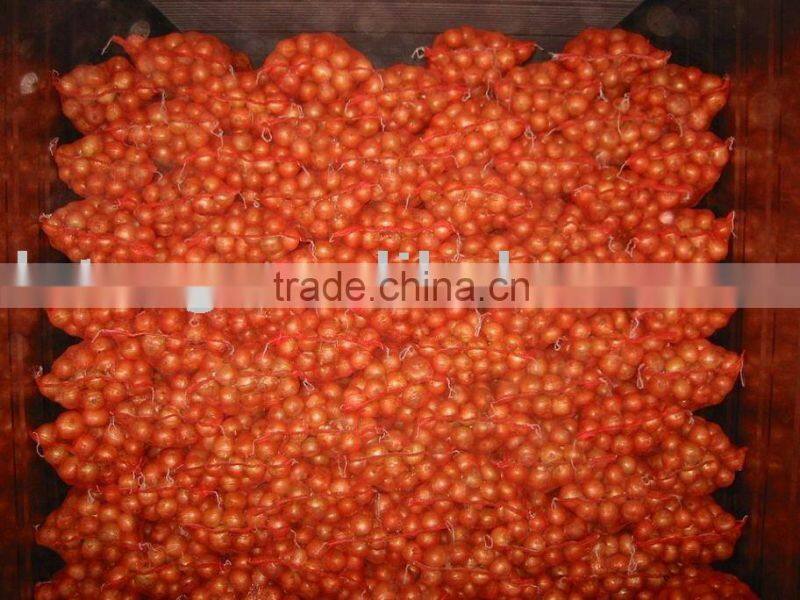 Yellow Onion Red Onion Specification Fresh