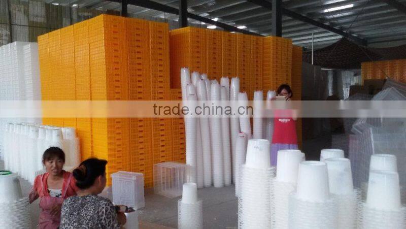 POULTRY FEEDER CHICKEN DUCK QUAIL 1kg 3kg 6kg 10kg