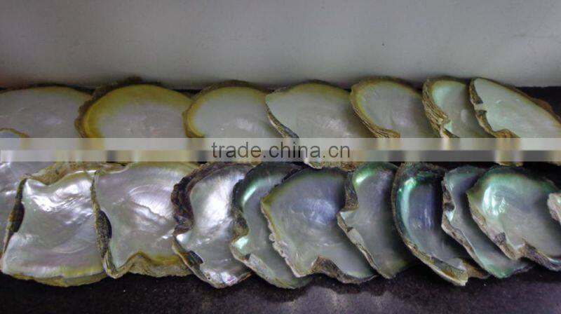 Natural big yellowlip mop shell raw material