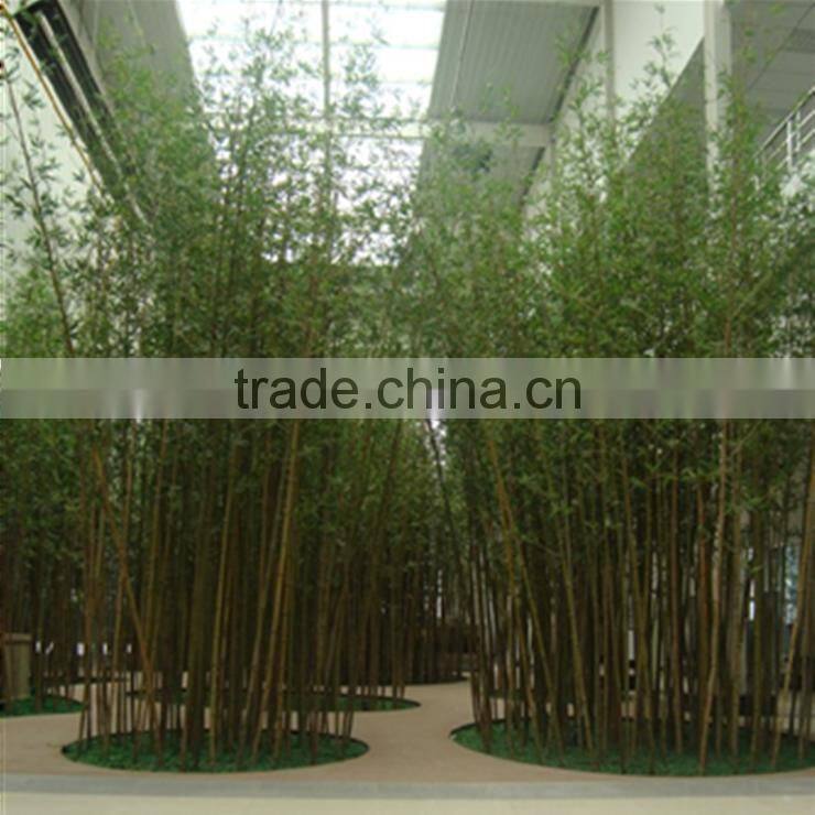 SJ13001216 Cheap plastic bamboo plant for indoor & outdoor landscaping decoration