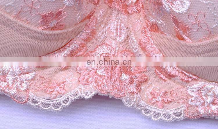 Indian Girl Sexy Tube Top Sexy Bra/Ladies Bra Brands