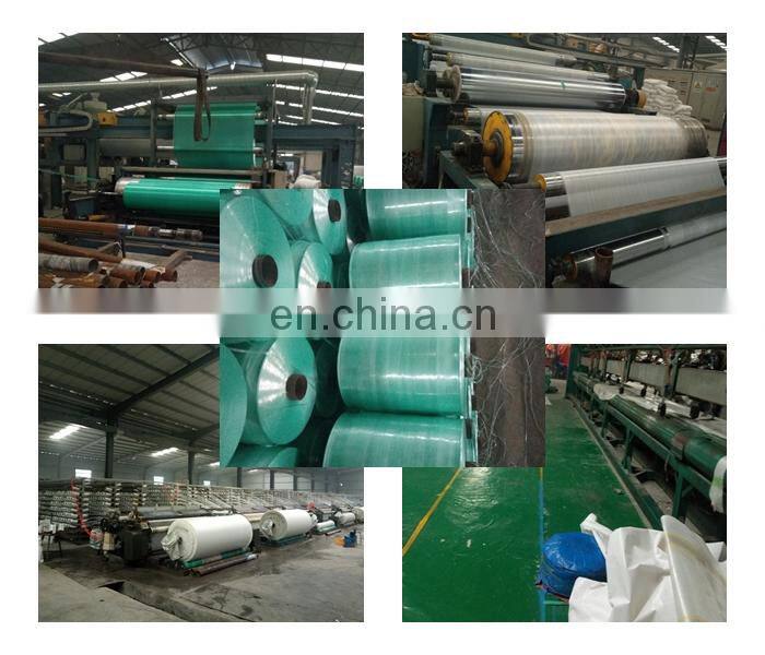 oil fence tarpaulin, polypropylene tarpaulin, pp woven roll