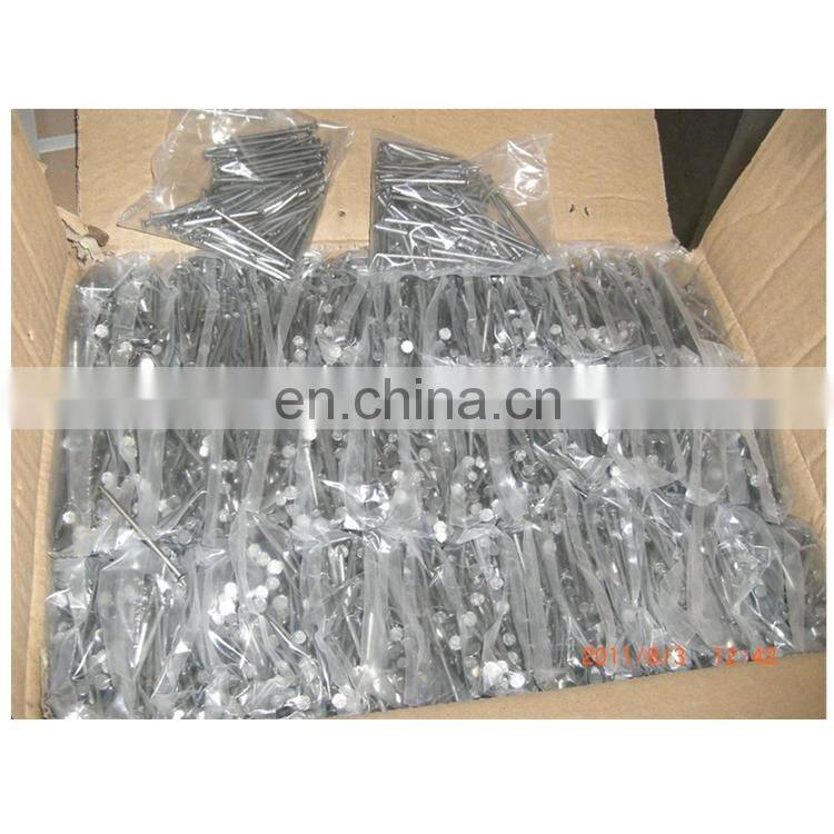 Factory Directly twist concrete nail for sell