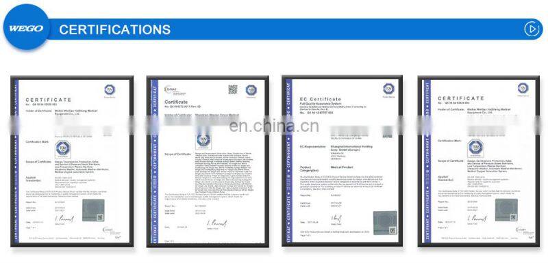 Wego hot product 10L Home Use Medical Portable Oxygen Generator medical oxygen concentrator price