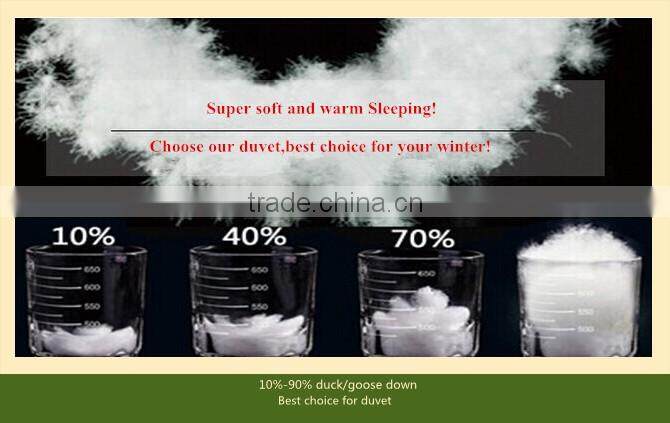 Feather duvet/stripe fabric quilt comforter/hotel bedding set