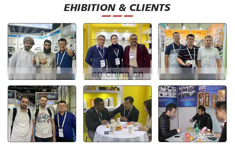 High Quality Engine Piston 3E5-11631-00 for CY80