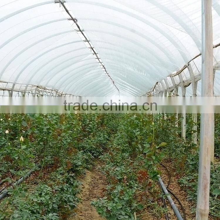 Color Carola table centerpieces single rose