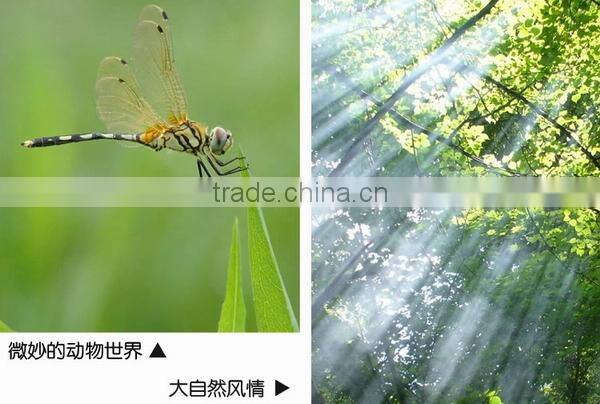 Commlite Rubber Follow Focus Ring for All Zooming Lens with Size from 52mm to 86mm.