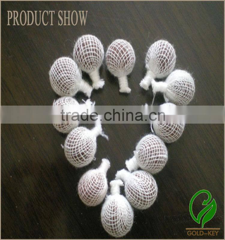 Female Hygiene Product, Herbal Clean Point Tampon for Vagina Clean