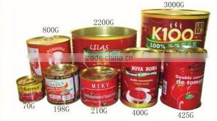 70g Canned Tomato Paste, Sachet Tomato Paste.Tomato Sauce, ketchup.