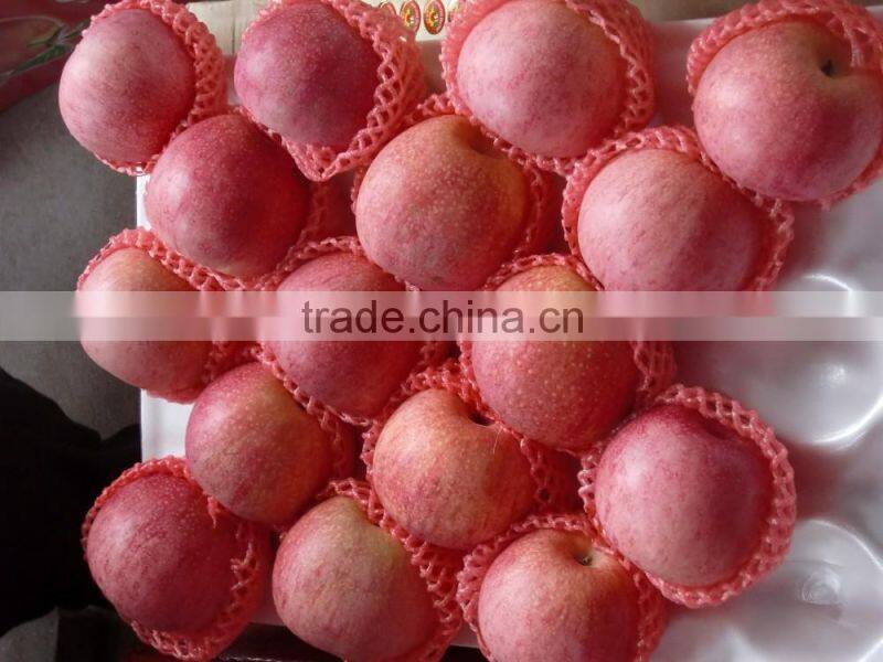 fresh apple fruit wholesale distributors fresh sugar apple for sale red chief apple