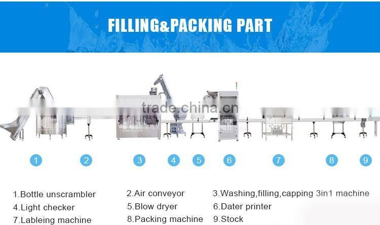 High quality Juice Filling Machine