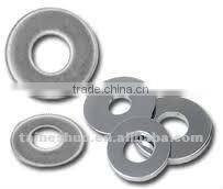 stainless steel Flat Washer