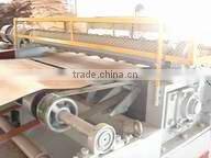 SLC2300A NC Veneer Clipper