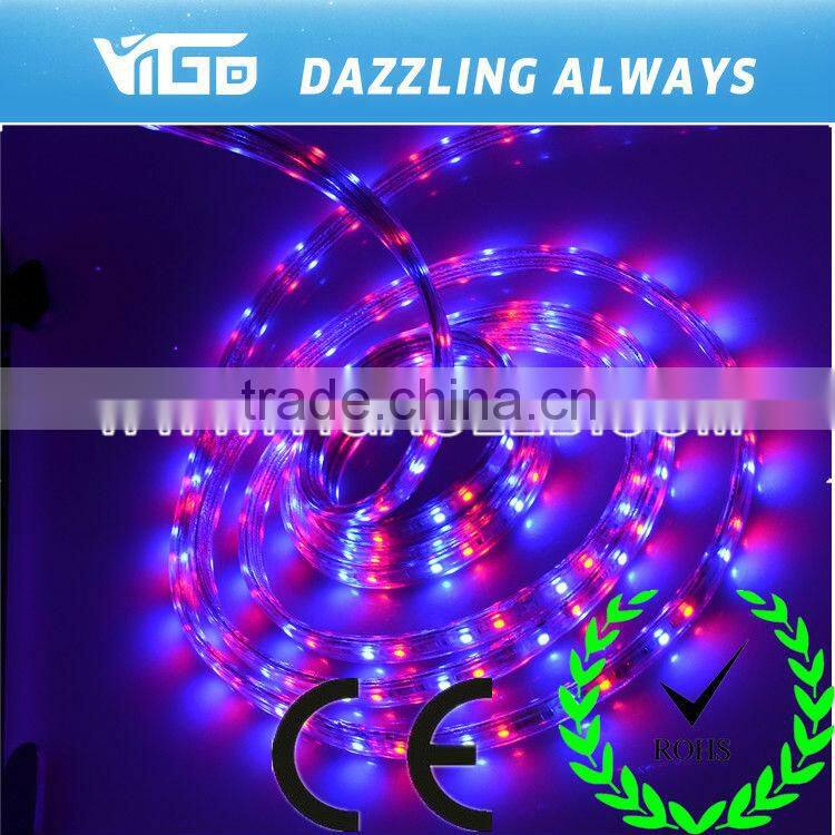 SMD 3528 Flexible Light Strip green color Amusement park